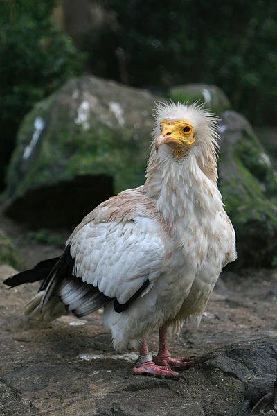 user avatar image for Lizzy Bee