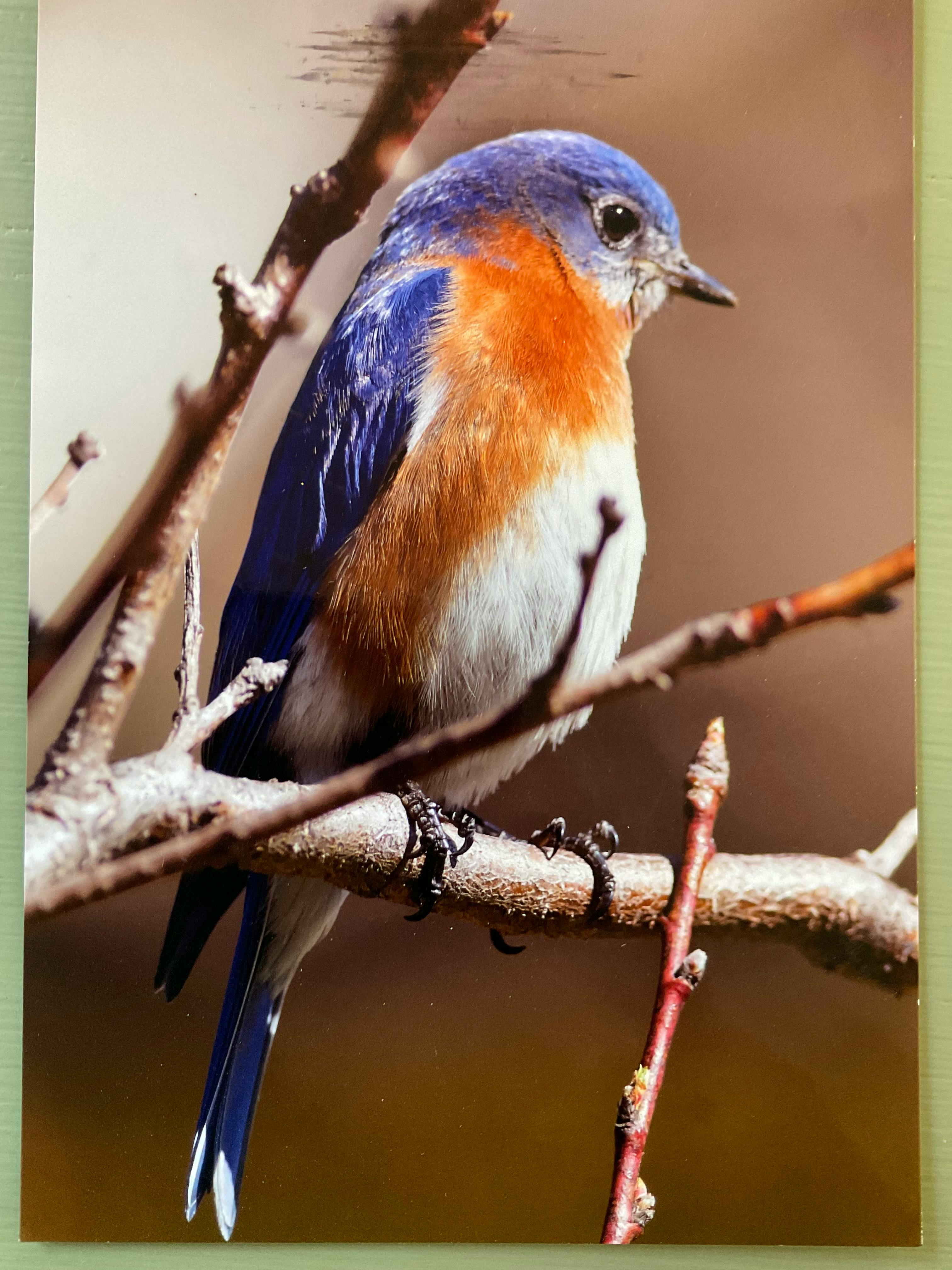 user avatar image for Nancy Hanna