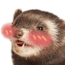 user avatar image for zeshi