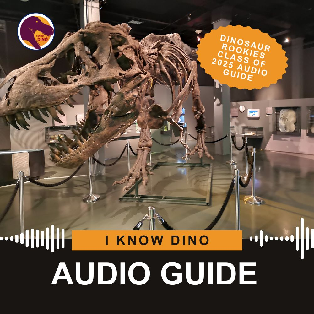 Dinosaur Rookies Class of 2025 audio guide