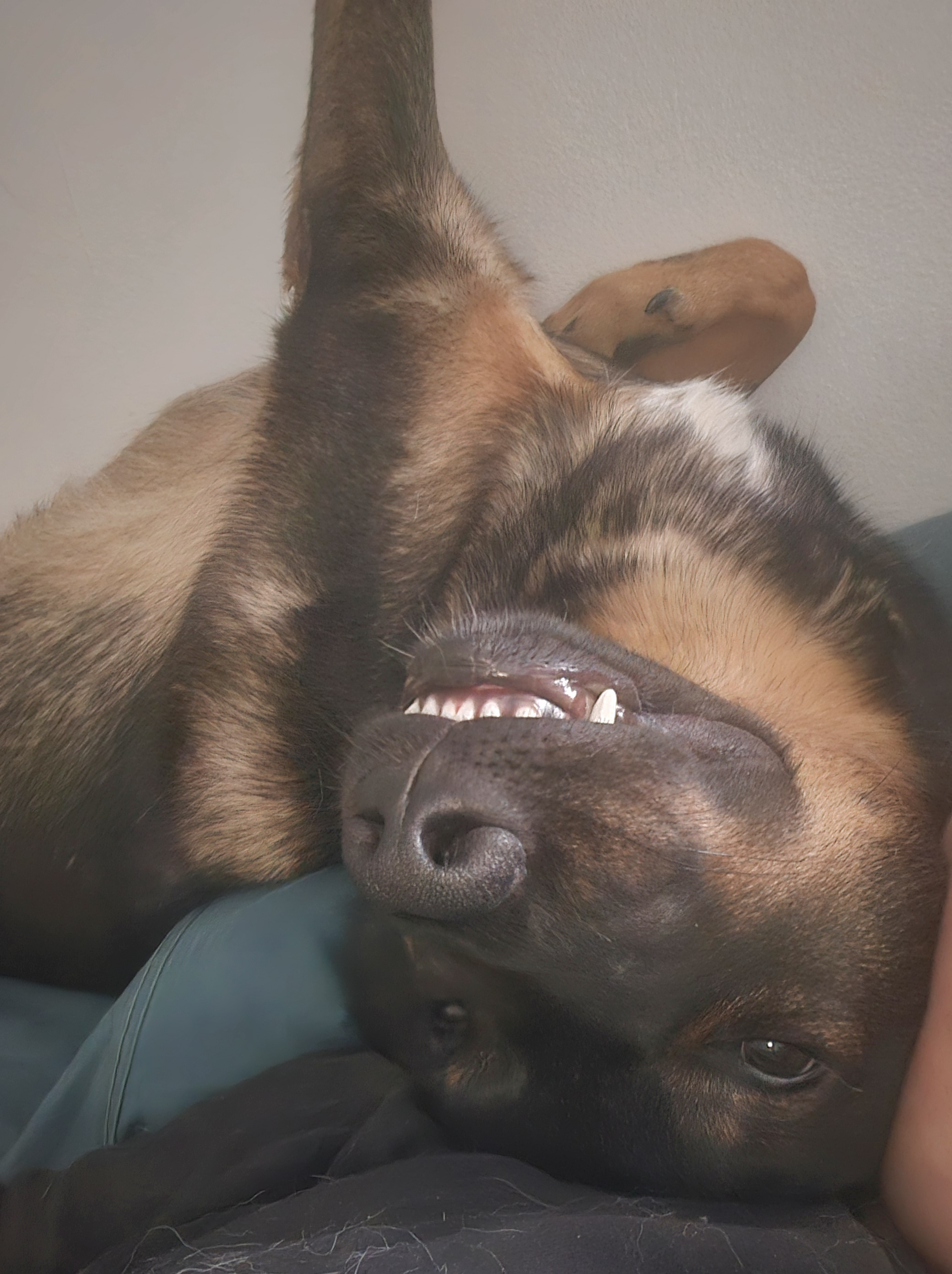 user avatar image for April