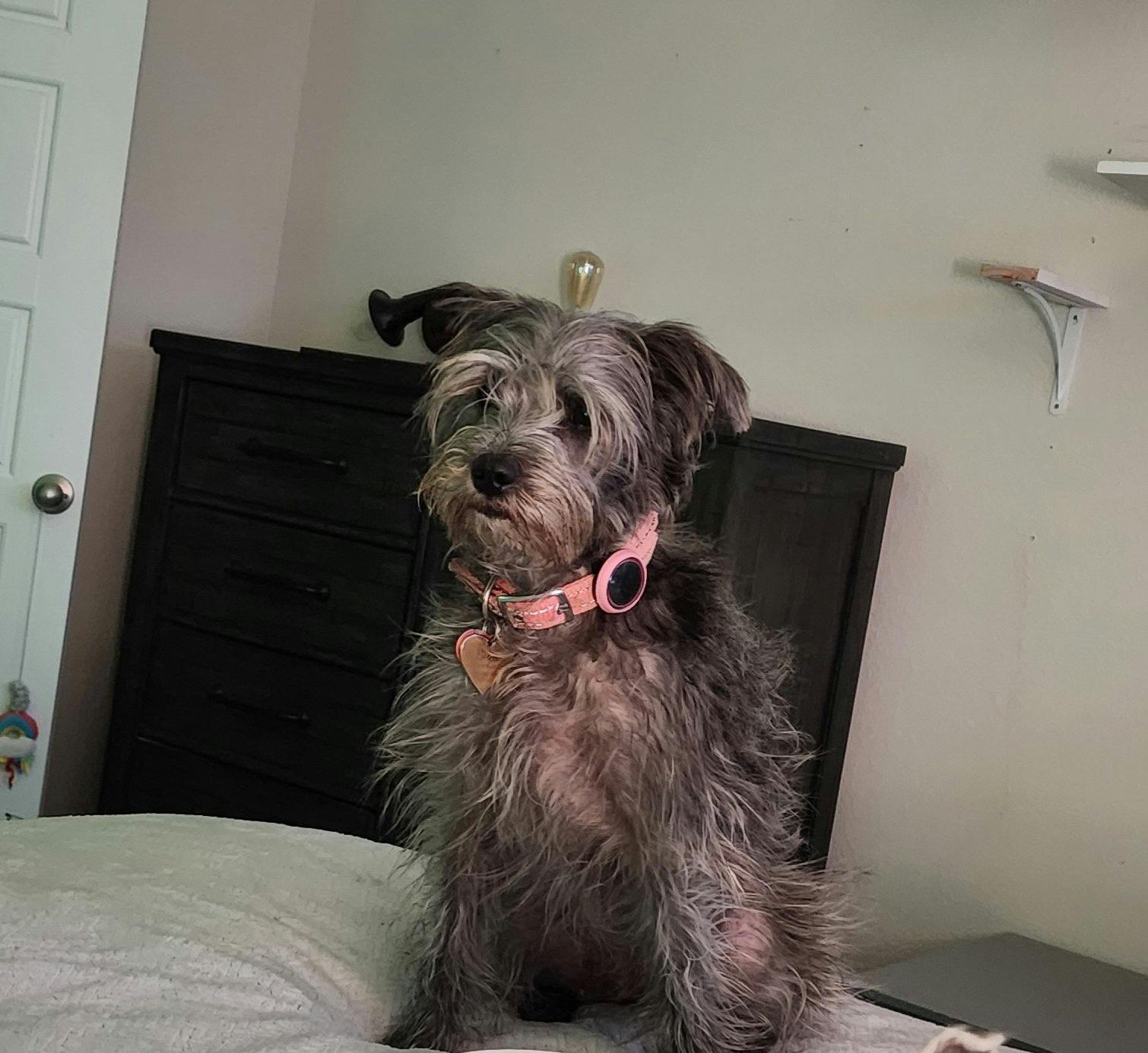 user avatar image for Brandi Tallent 