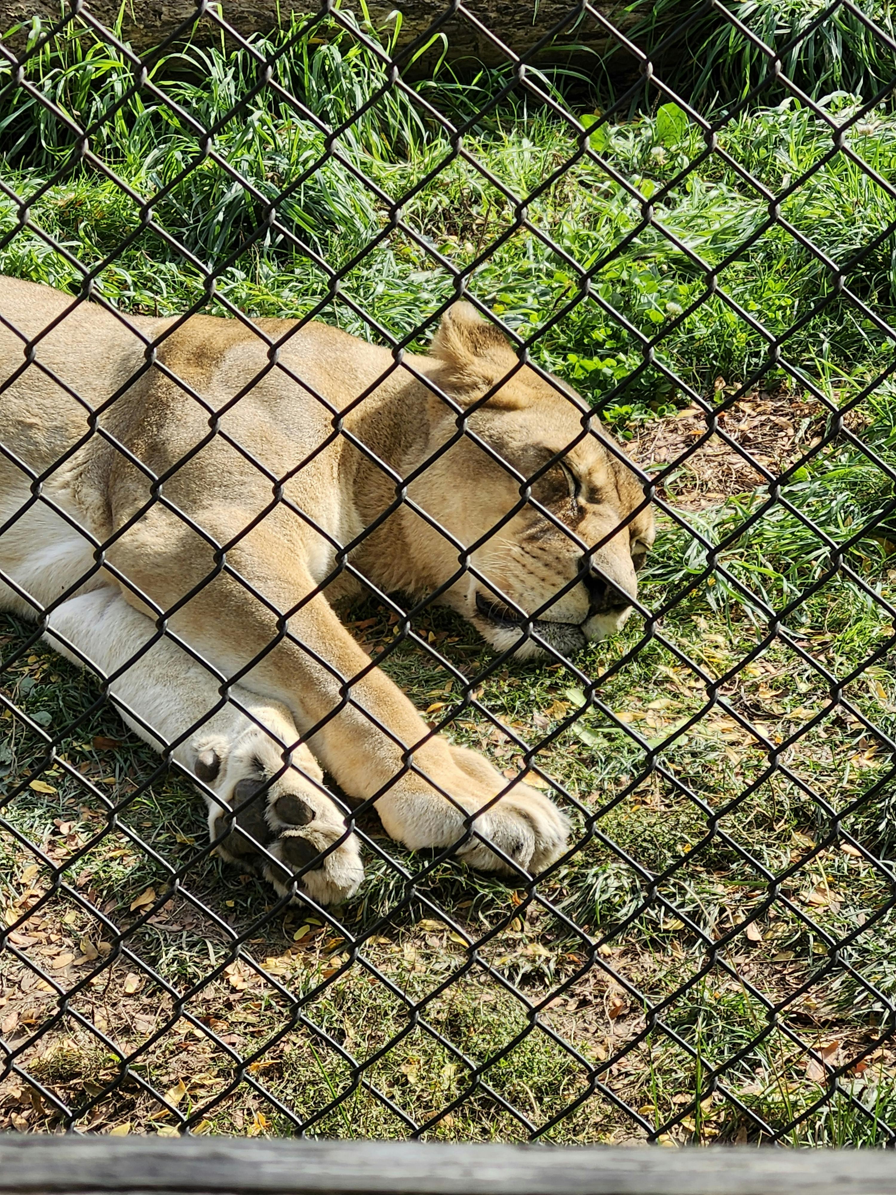 user avatar image for Benjamin VanHeesch 