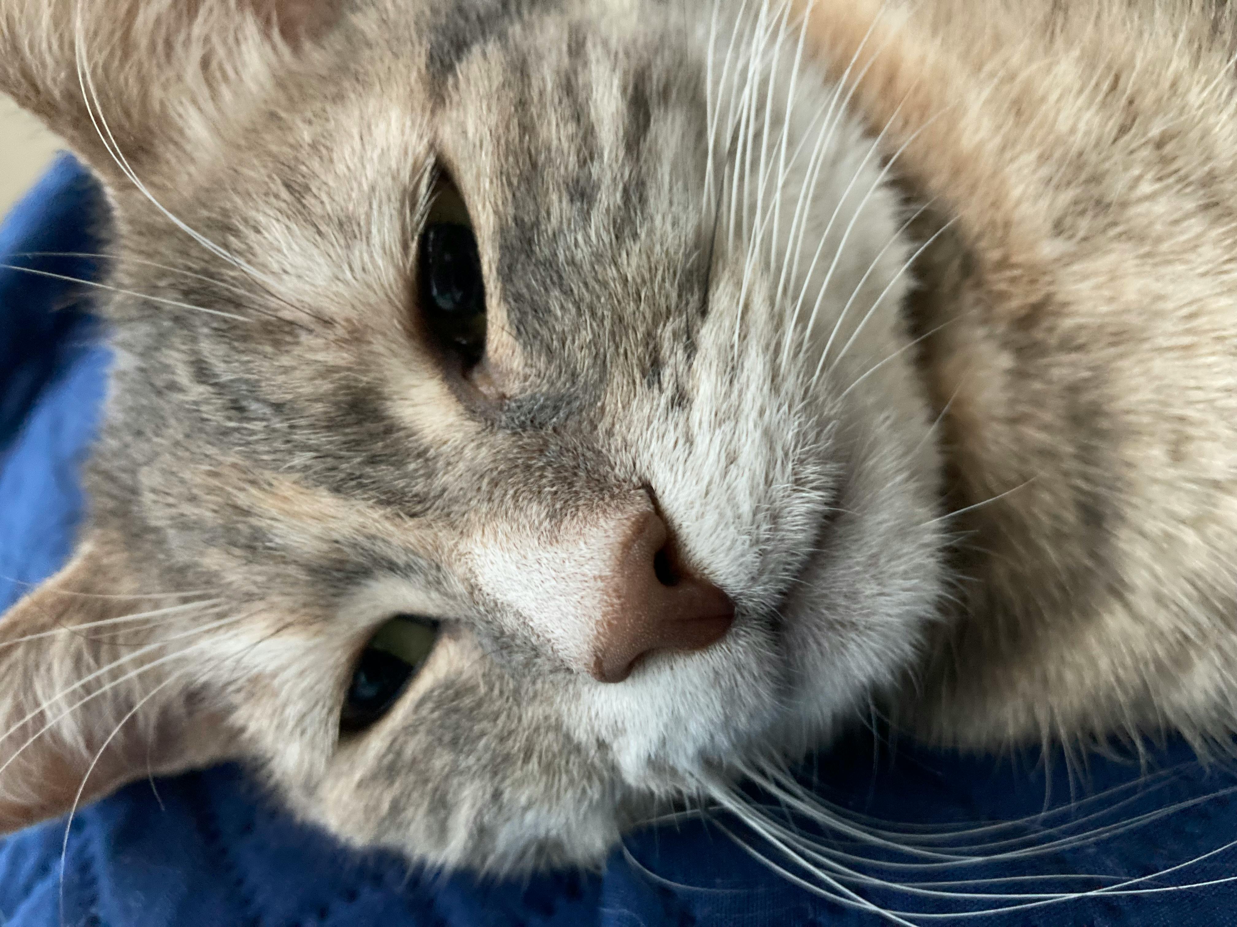 user avatar image for Adam