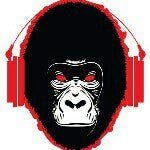 user avatar image for Peter