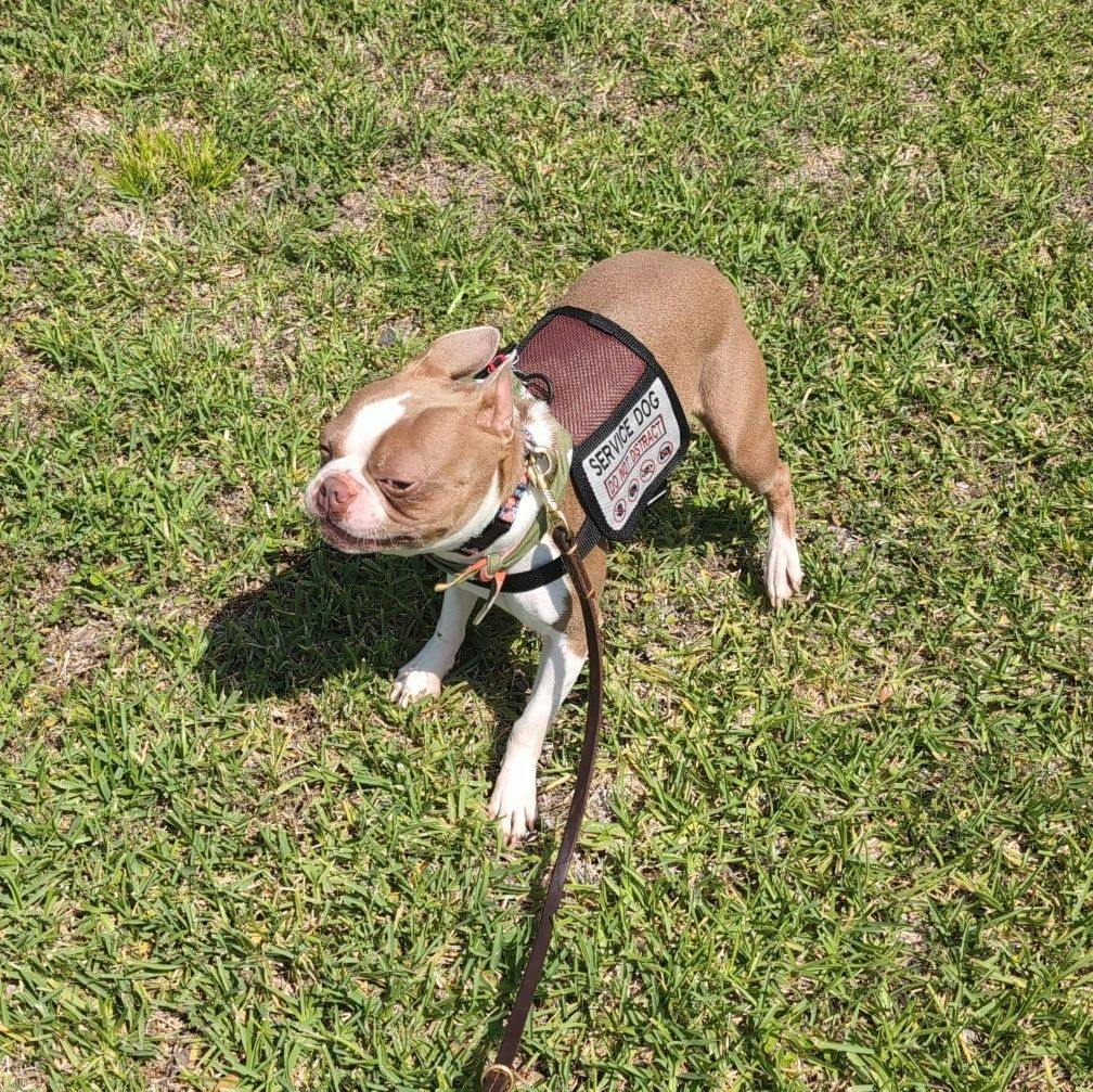 user avatar image for Finn