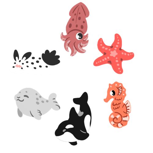 Blister Pack (Set)