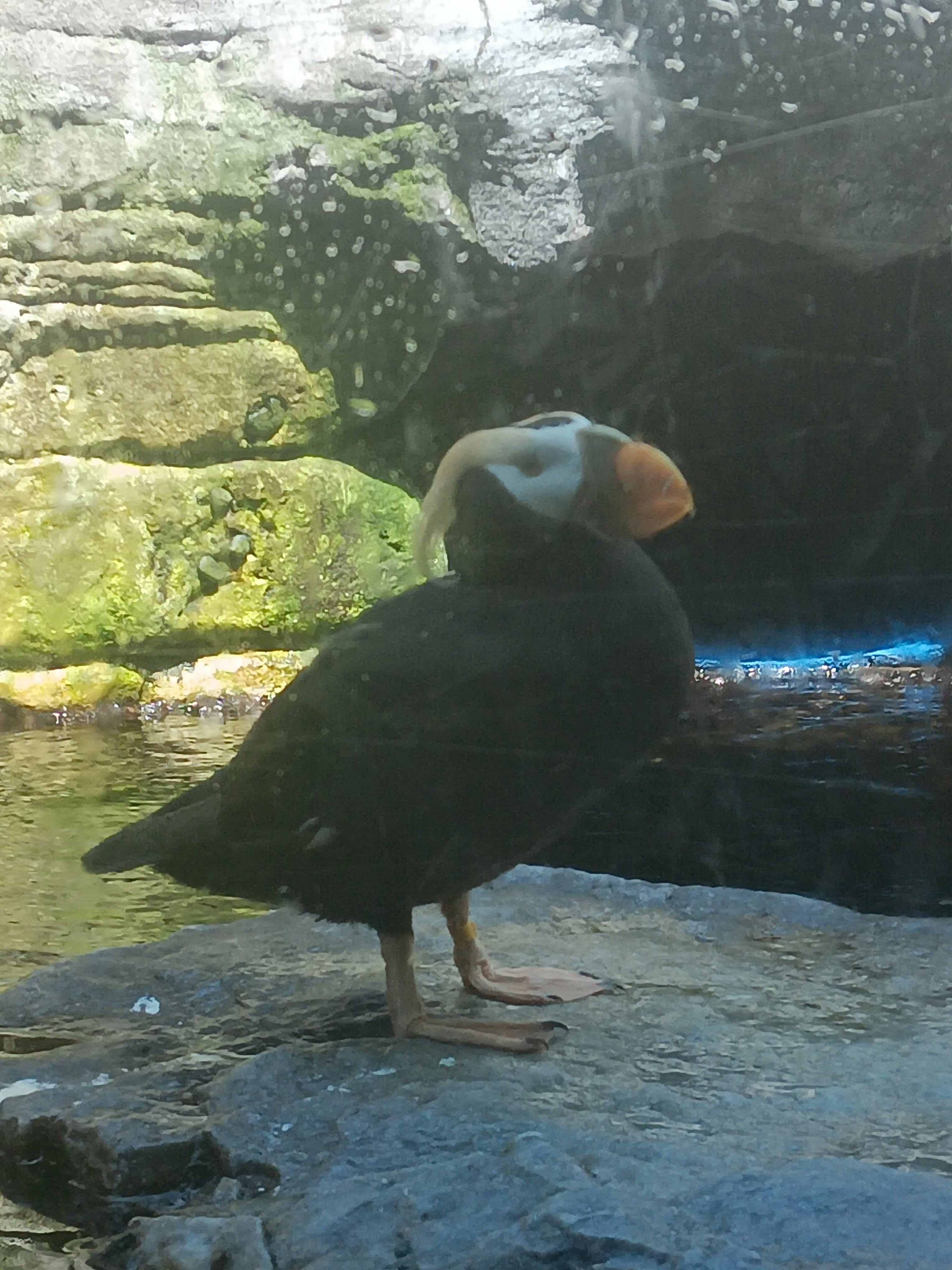 user avatar image for Liz