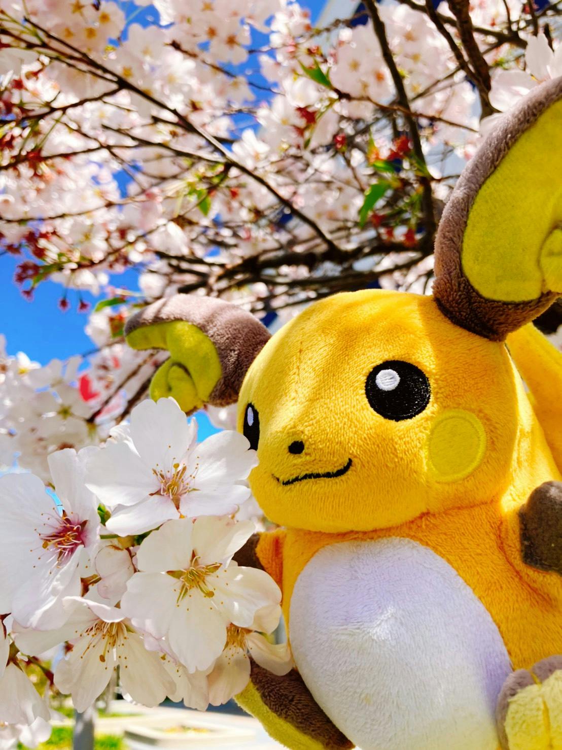 user avatar image for Jan