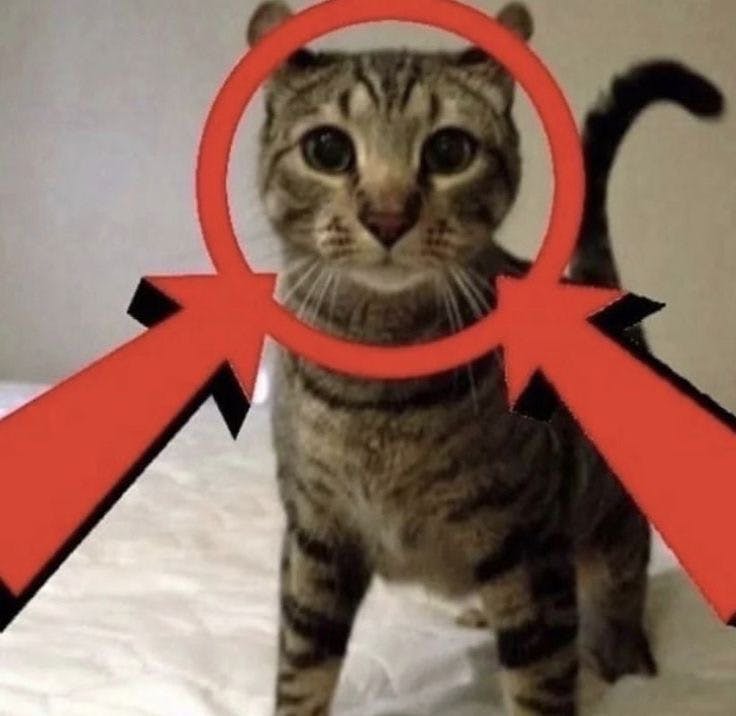 user avatar image for xsquishycx