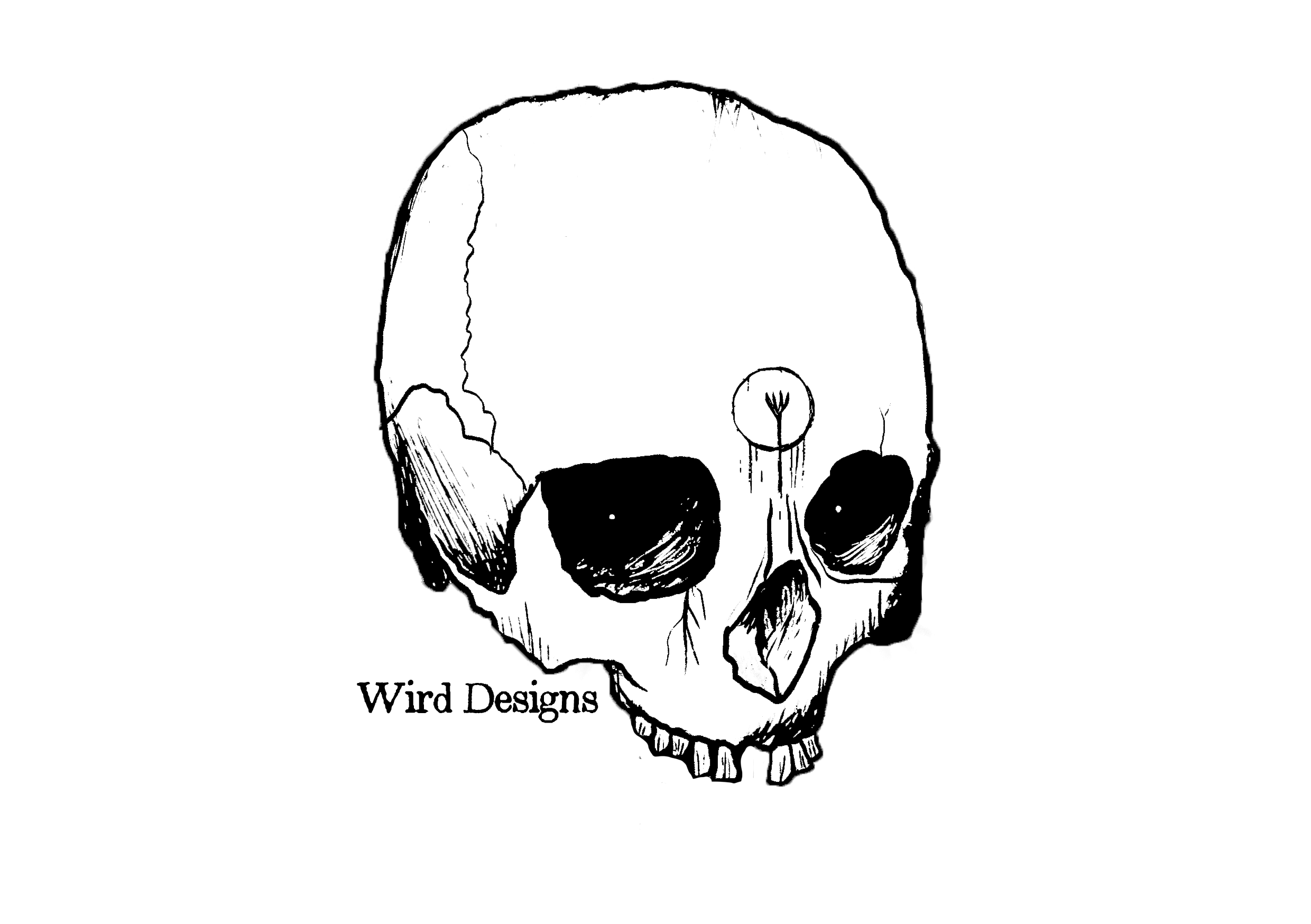 user avatar image for Will RD