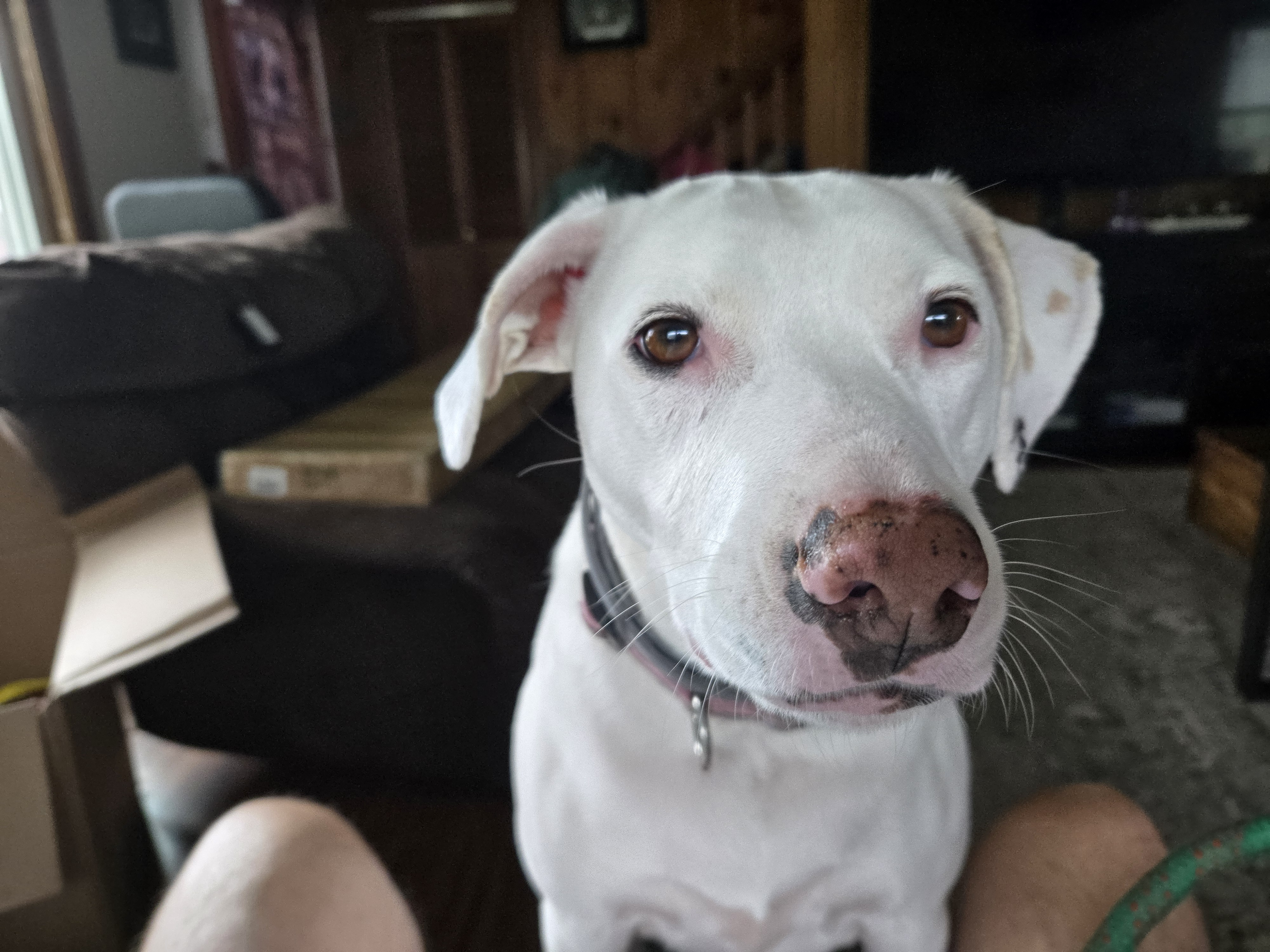 user avatar image for Jeff maneval 