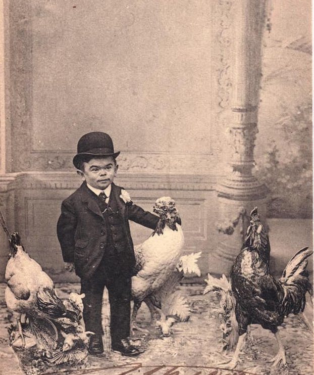 user avatar image for Breddan Buttah