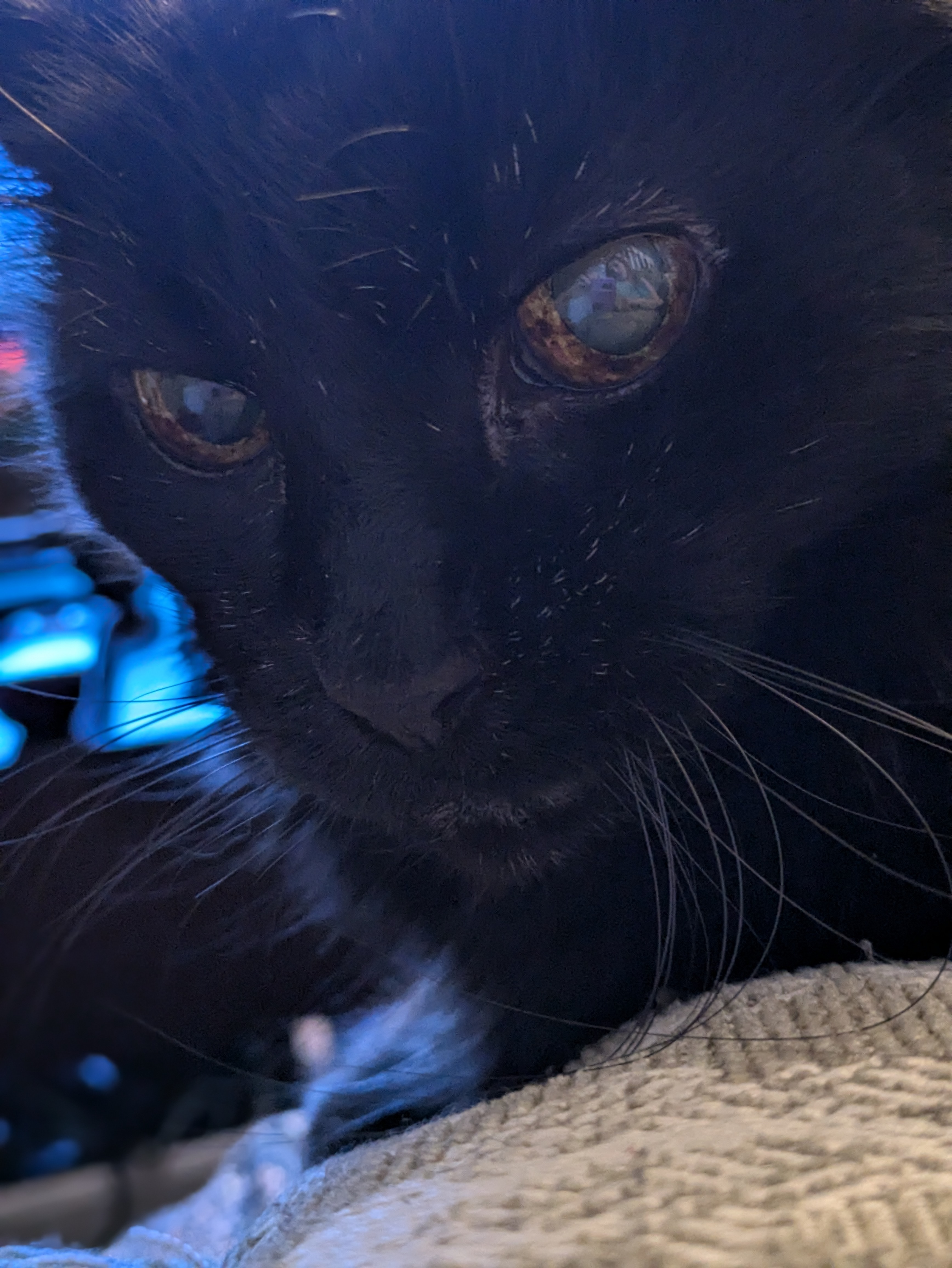 user avatar image for Nova