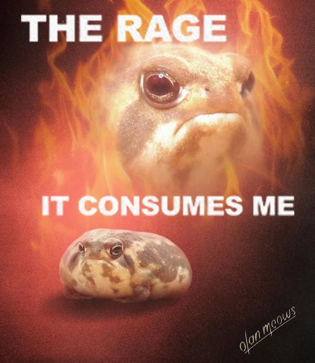 user avatar image for FeralBagel