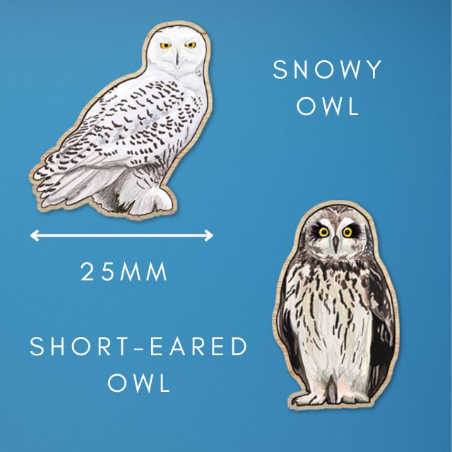 25mm mini wooden pin mock ups made of illustrations of a snowy owl and a short-eared owl