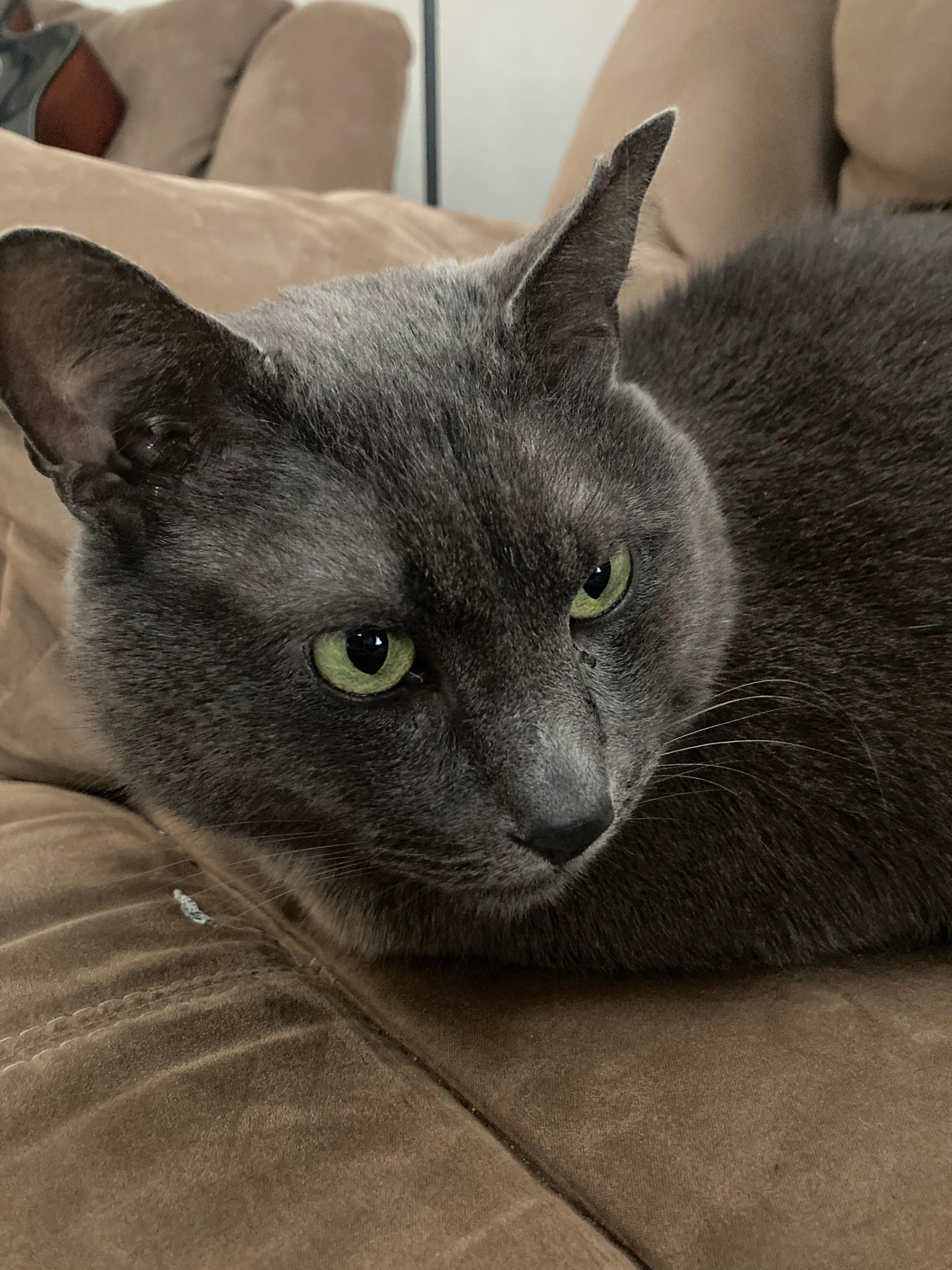 user avatar image for John