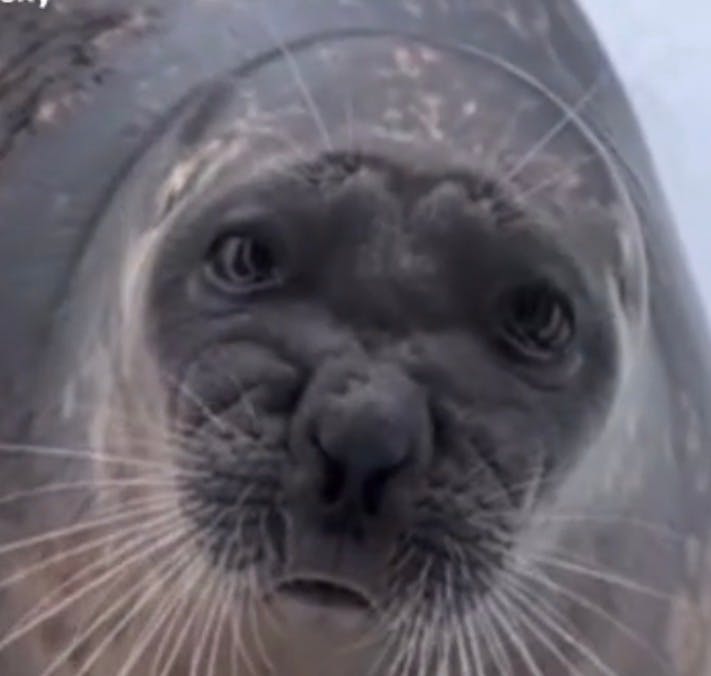 user avatar image for lexi 