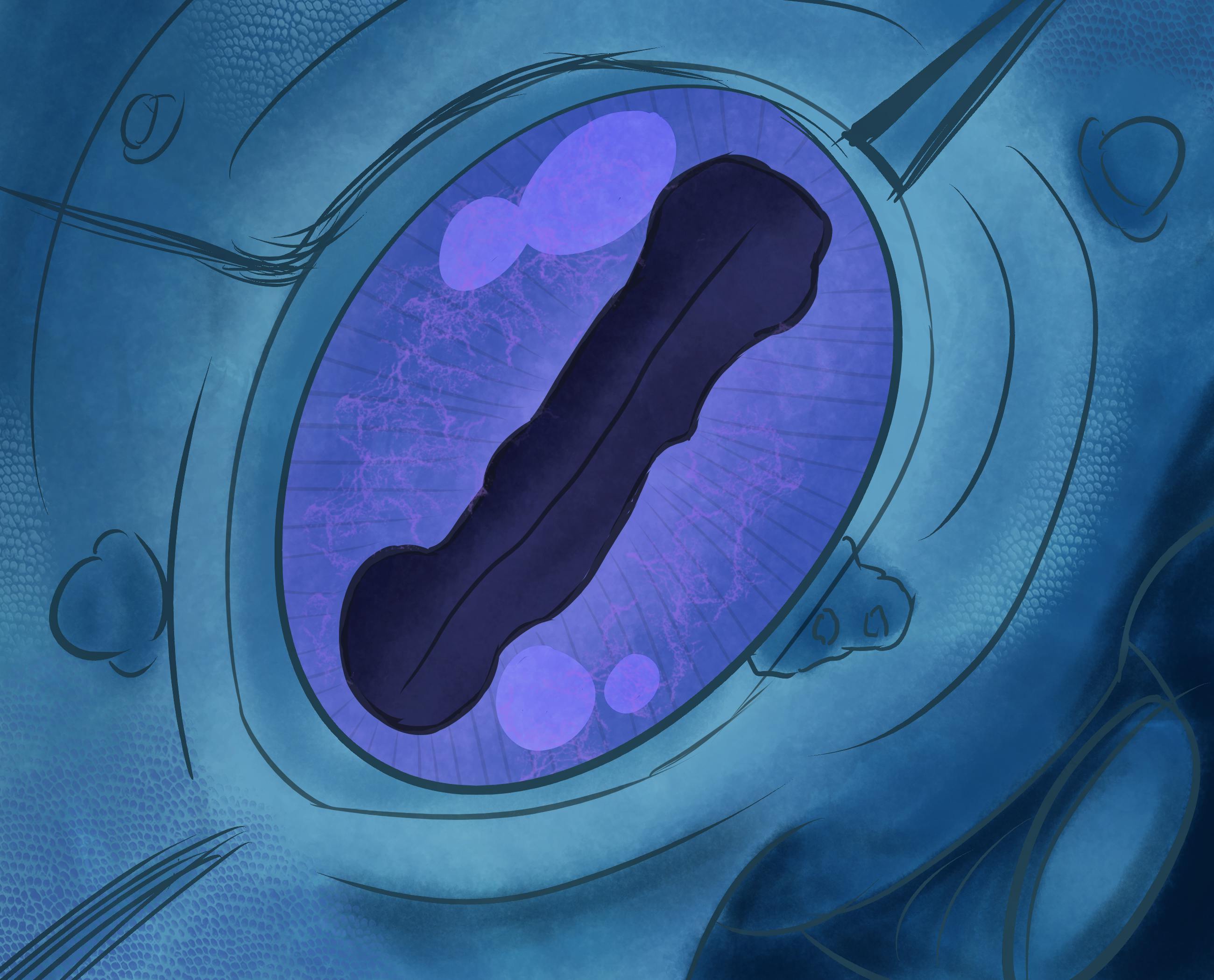 user avatar image for Fae