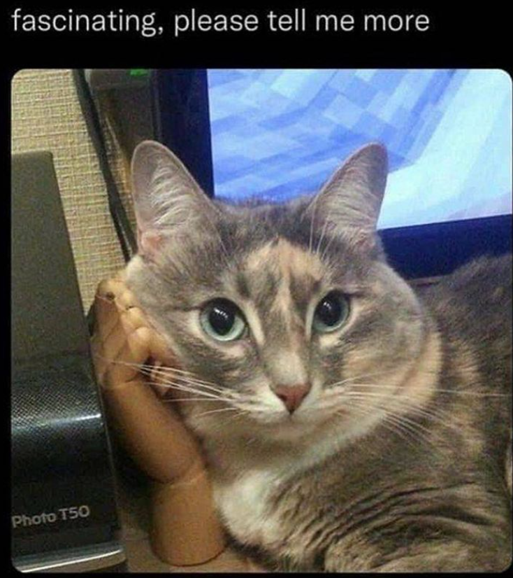 user avatar image for Moony