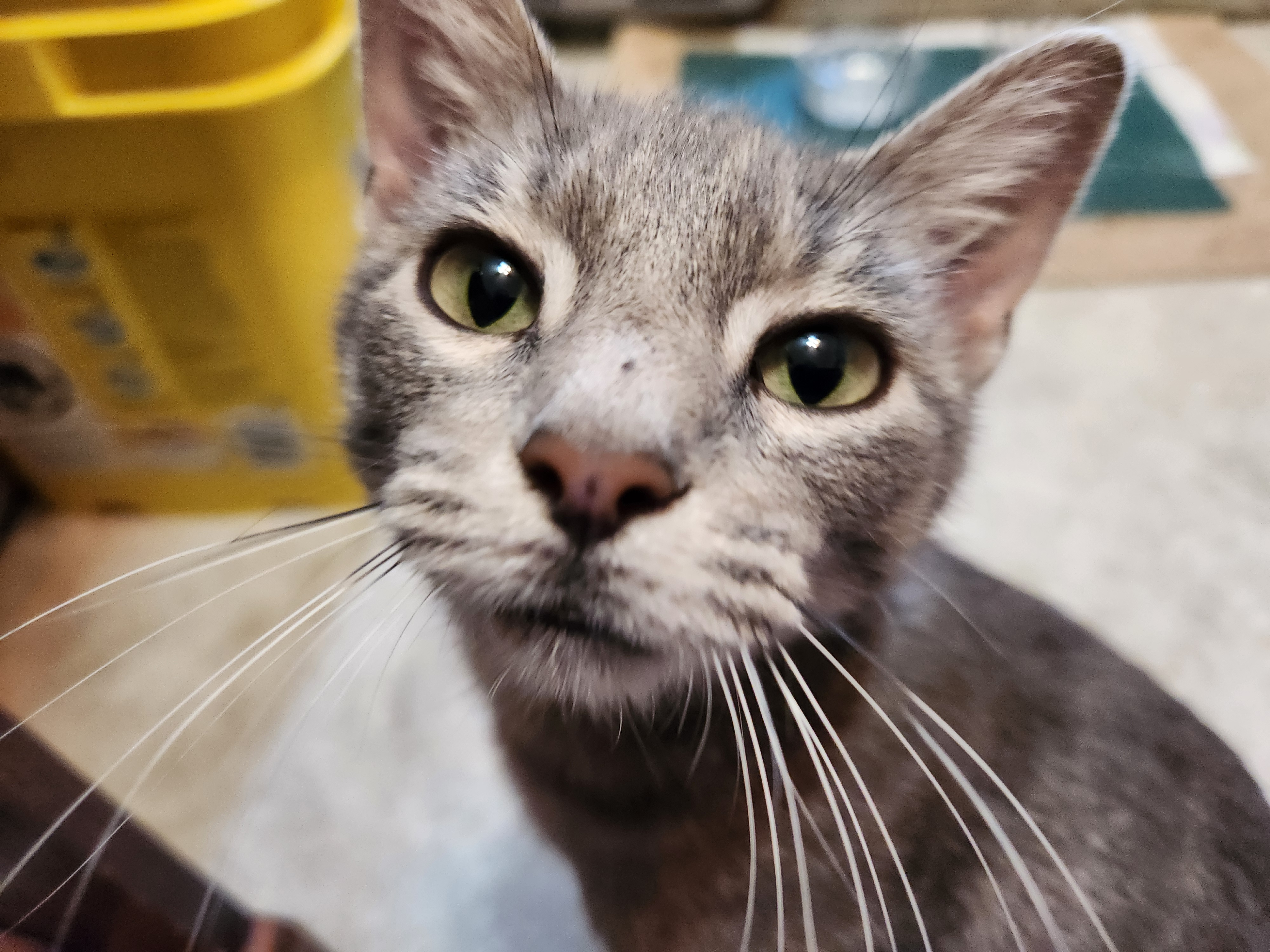 user avatar image for Jeff Carle