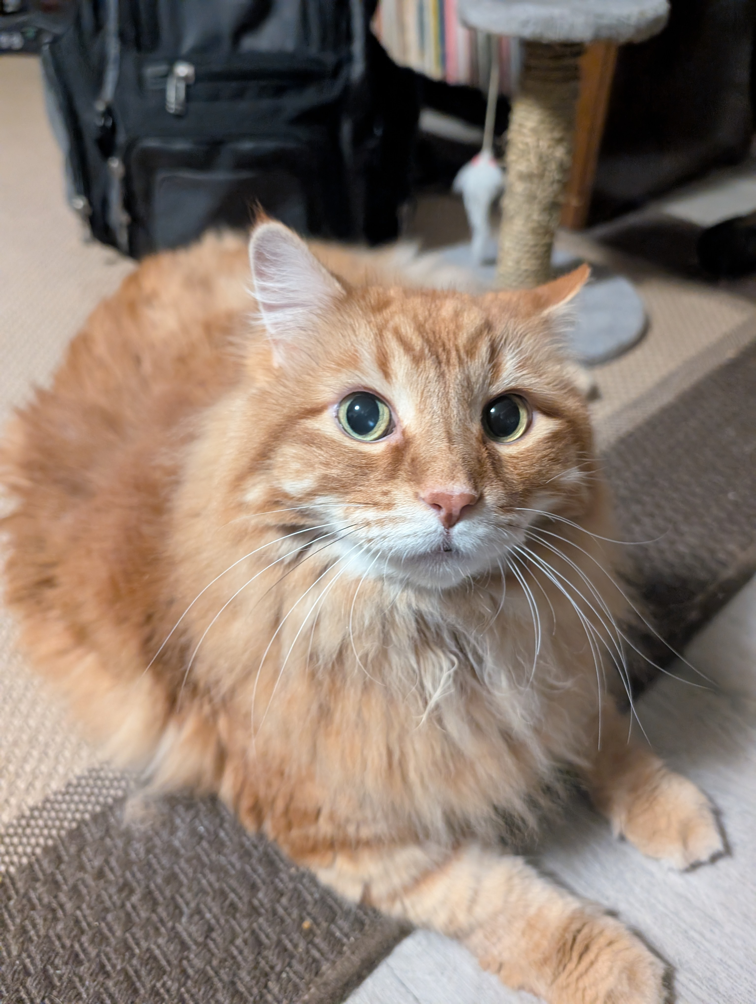 user avatar image for Andrew Davies-Scott