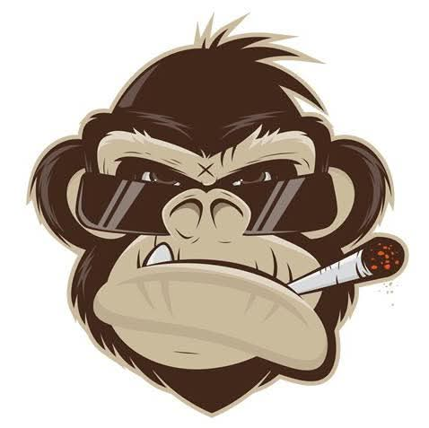 user avatar image for Alex gray