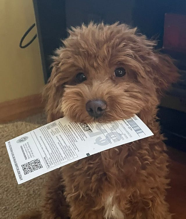 user avatar image for Kimberly