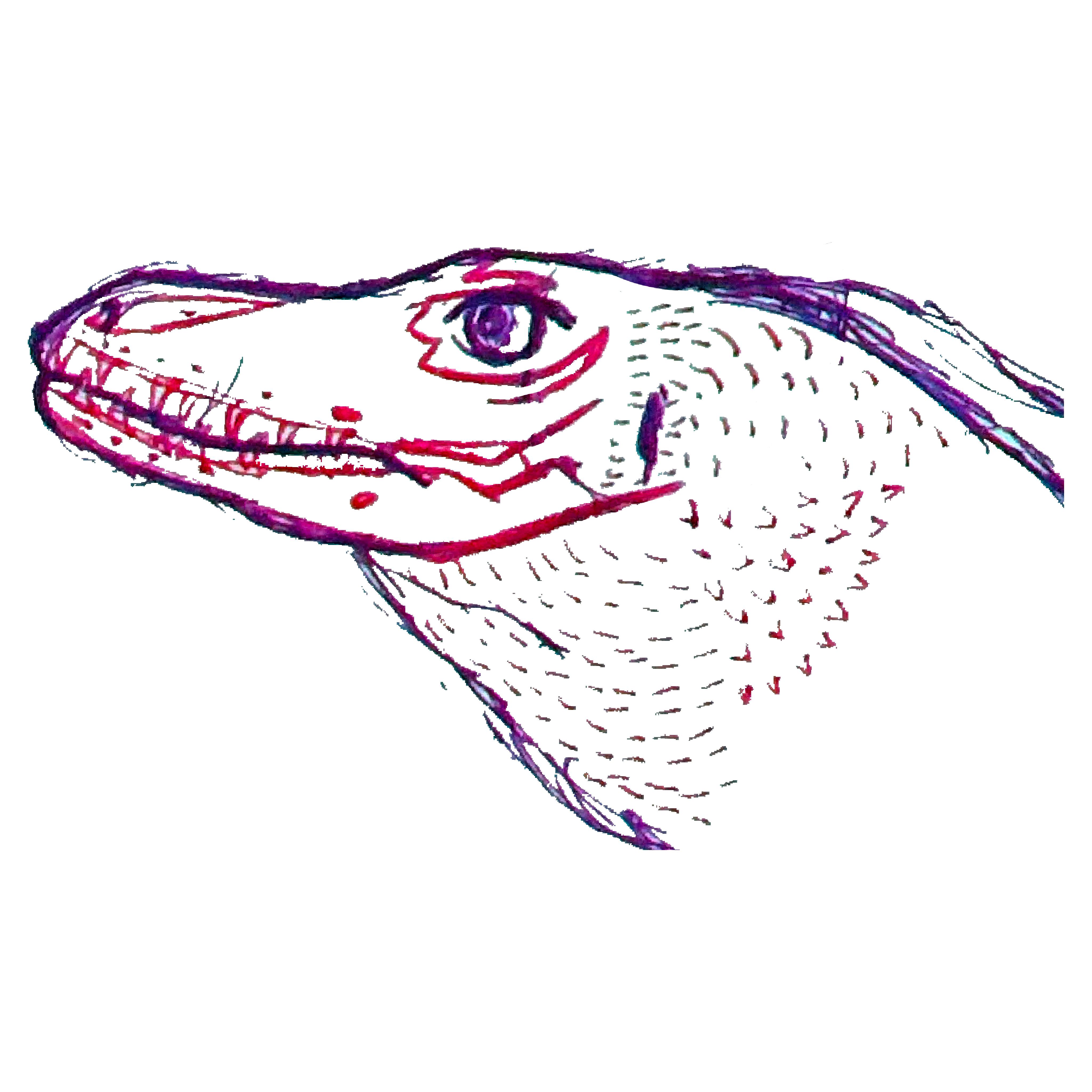 A: Silver metal head with recessed skull w/ printed eye & osteoderms