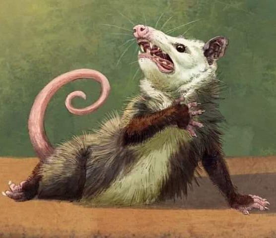 user avatar image for Lorri