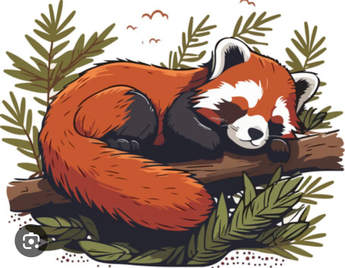 user avatar image for Pan