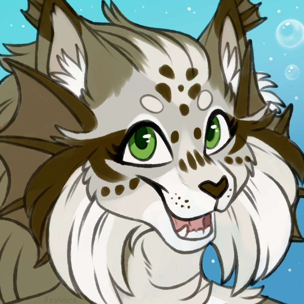 user avatar image for holly!