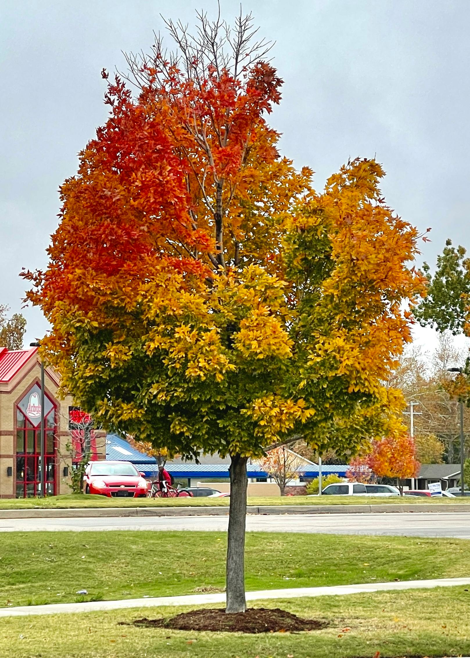 user avatar image for Alyoup