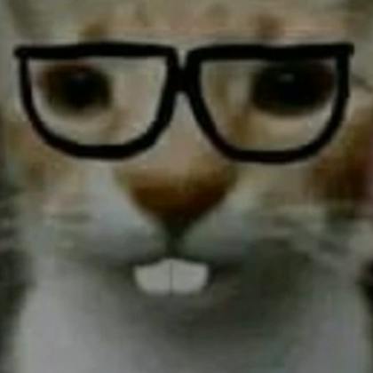 user avatar image for Mohamad