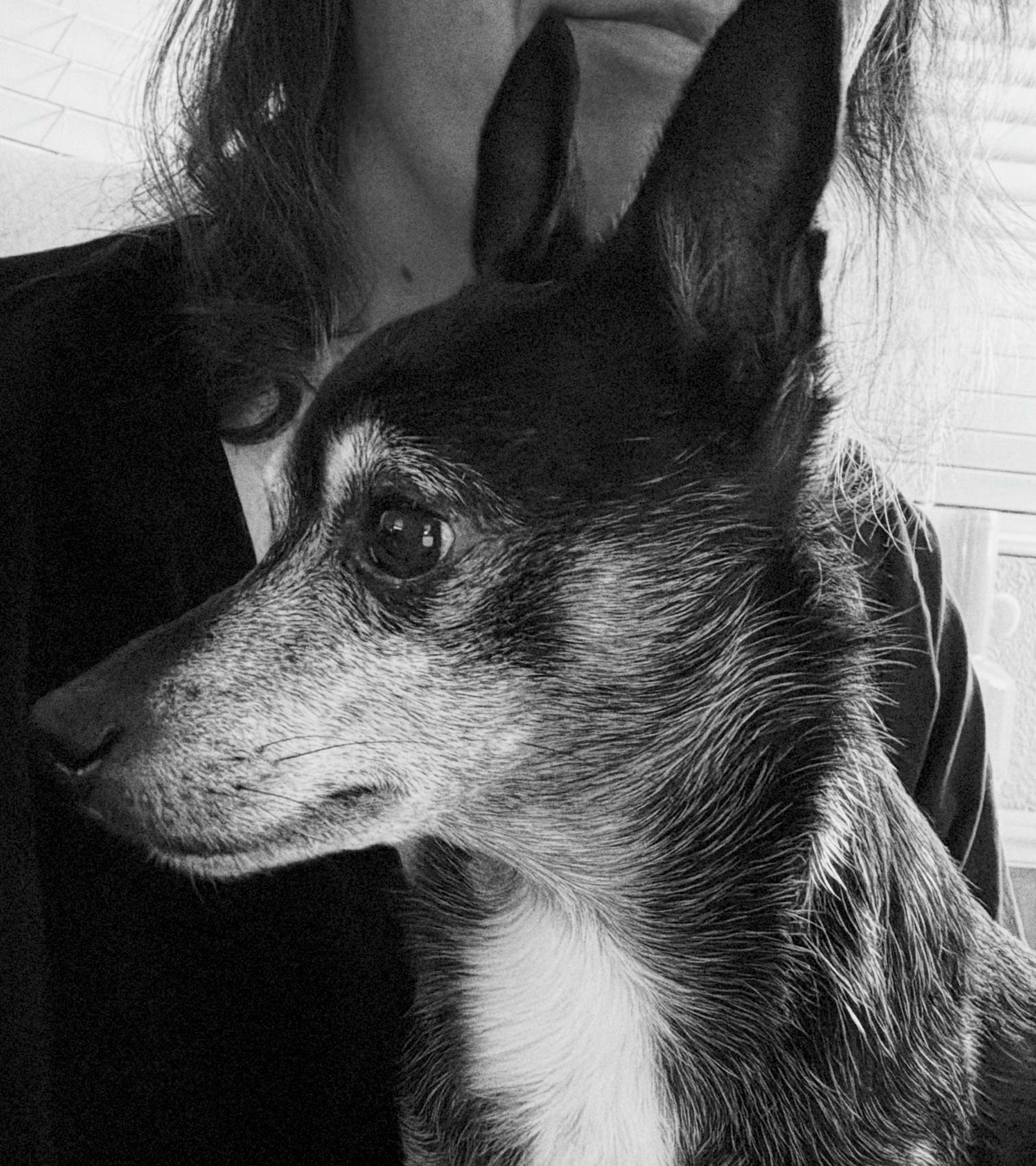 user avatar image for Lesley Northrop
