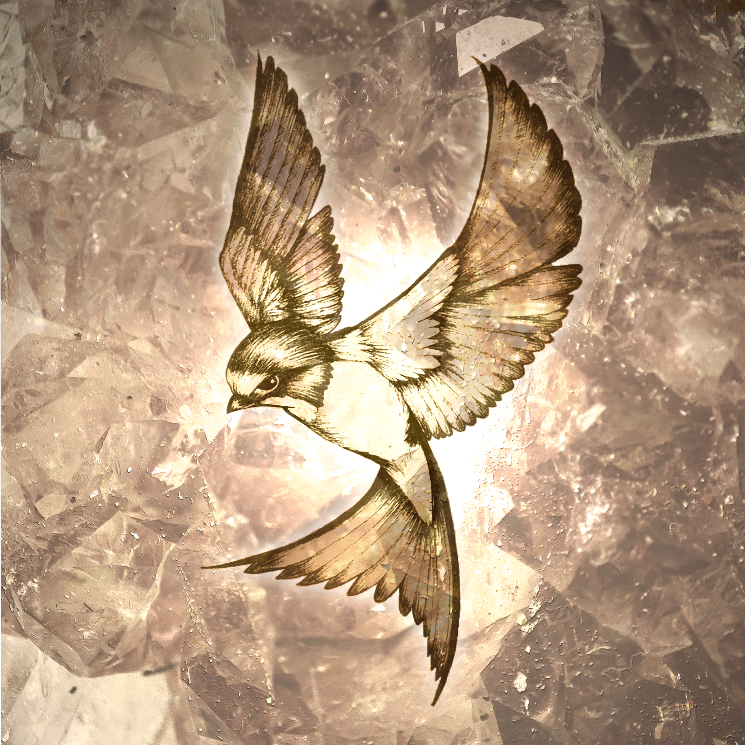 user avatar image for Claincy