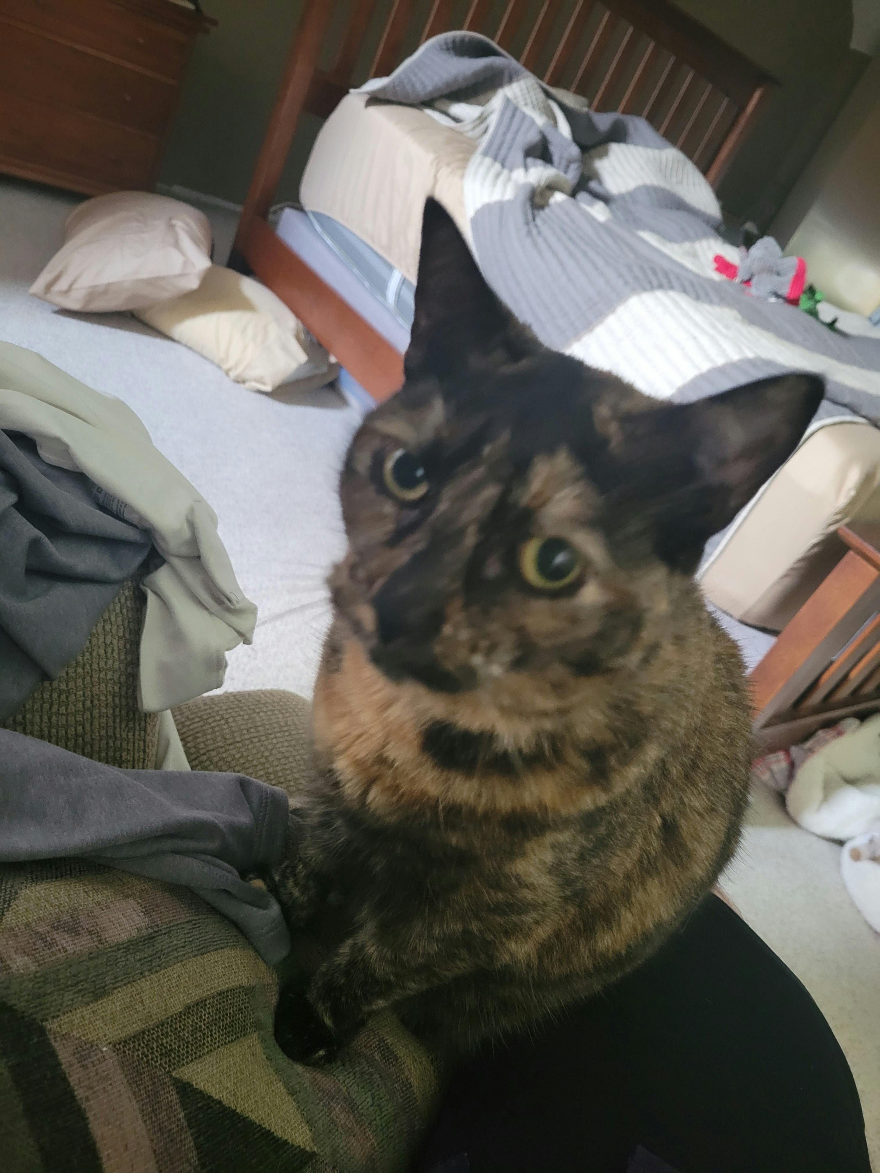 user avatar image for Tim R