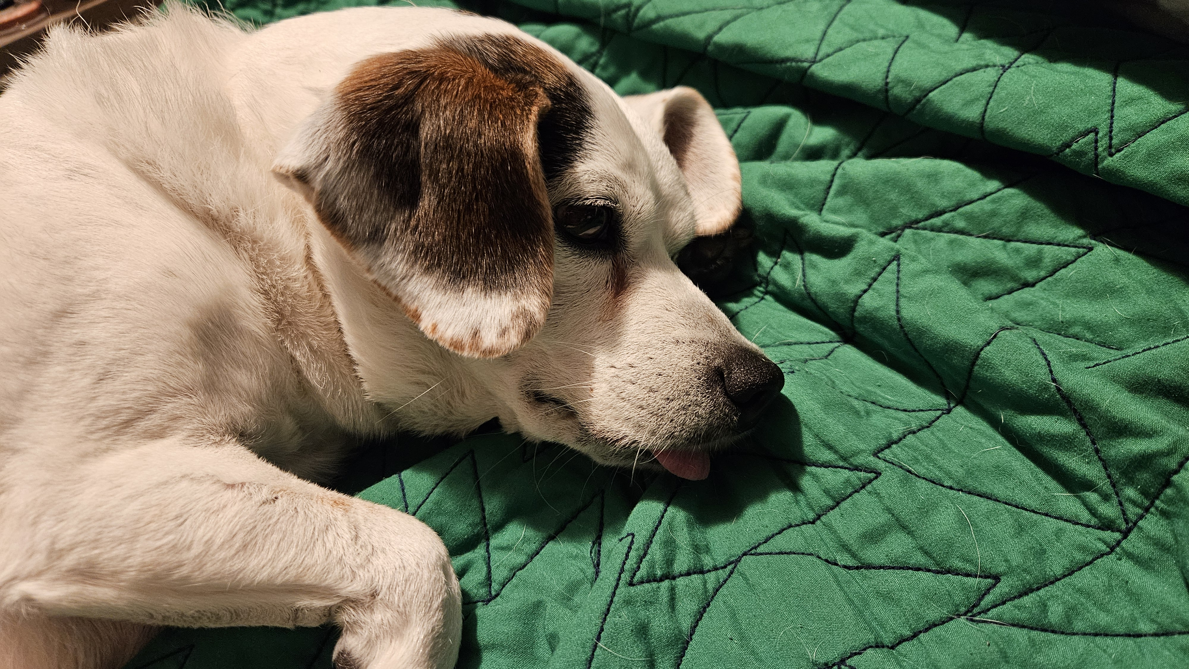 user avatar image for Jayme Olson