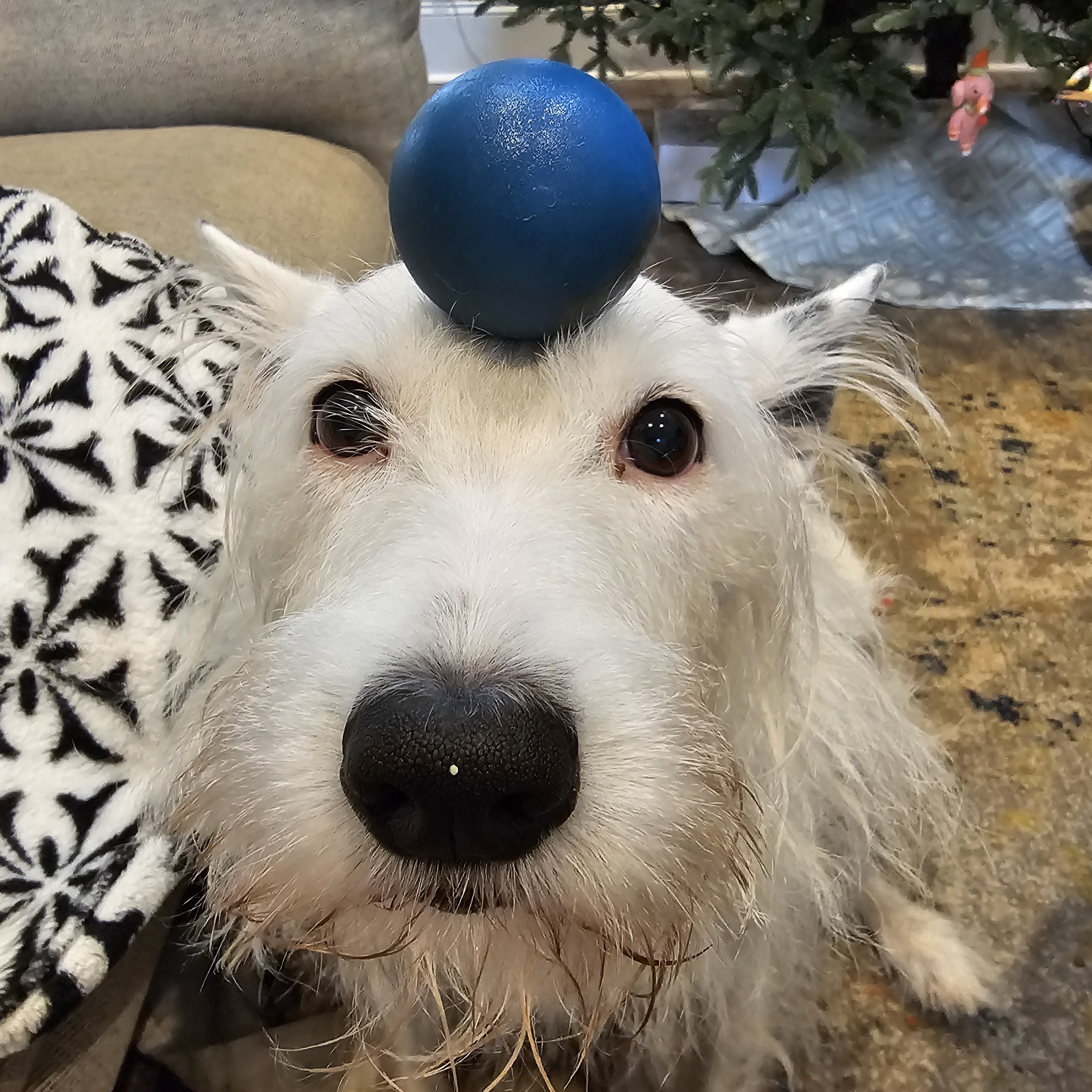 user avatar image for Vaughn Heydel