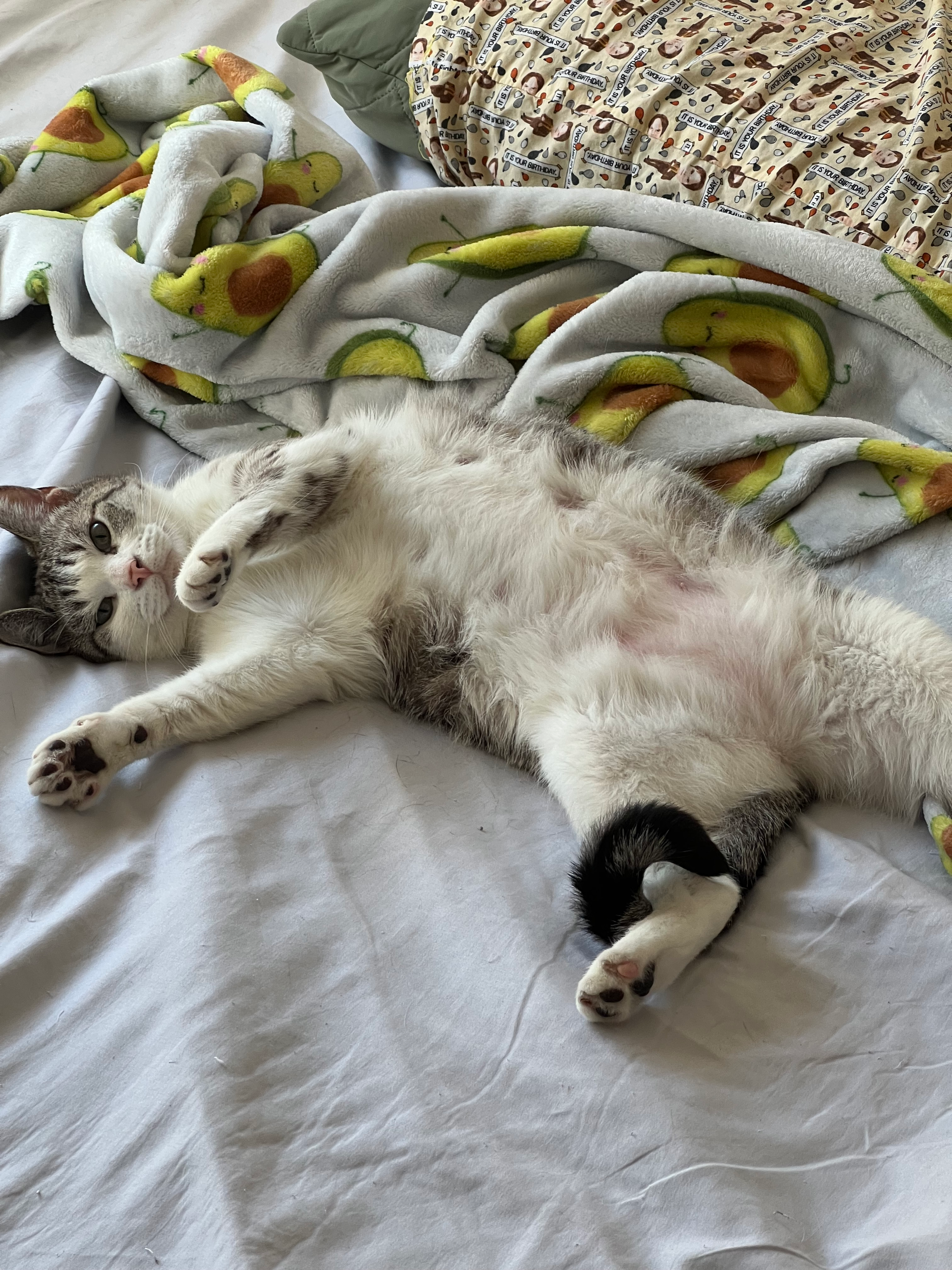 user avatar image for Michael Luu