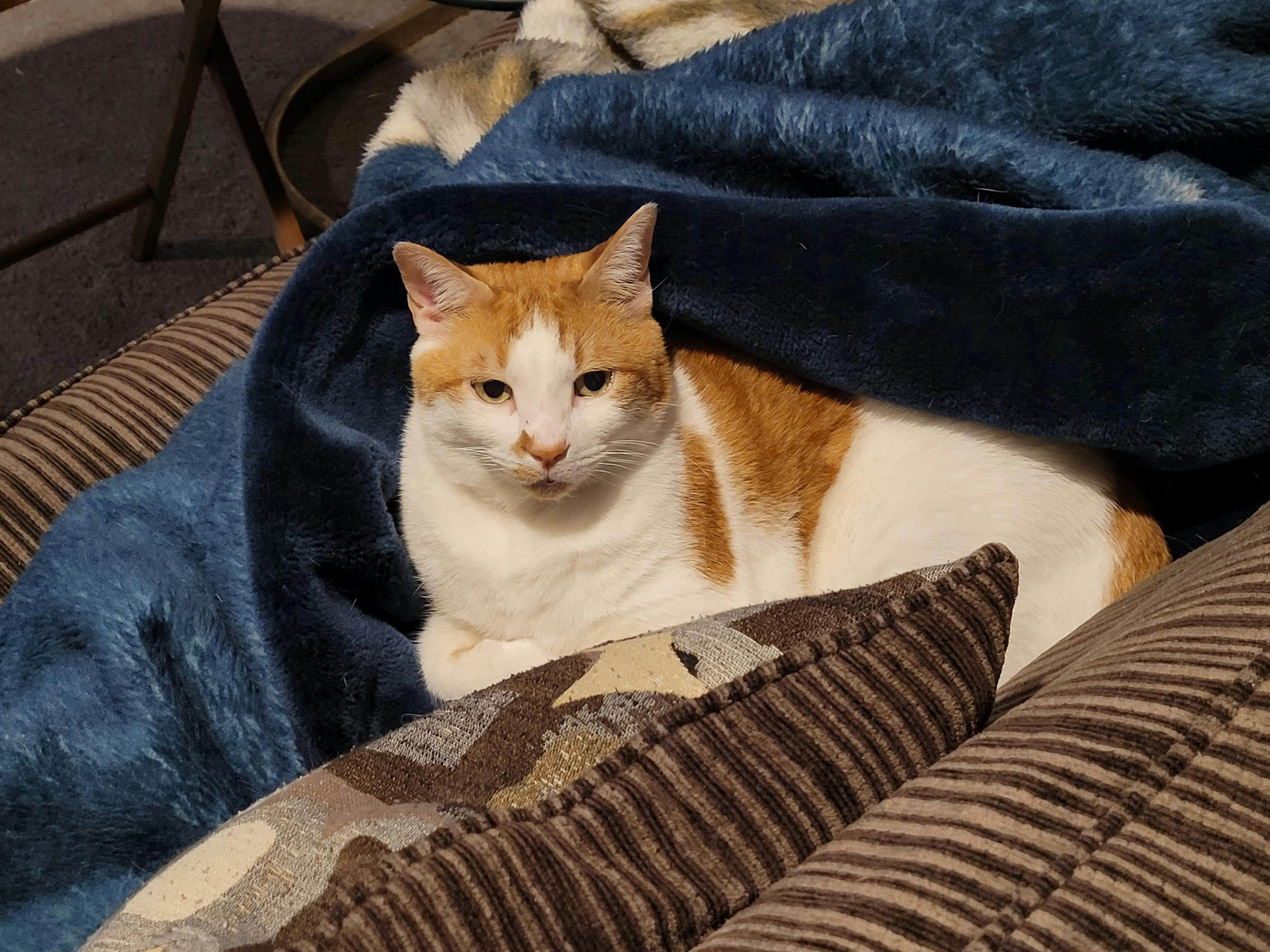 user avatar image for MKReed