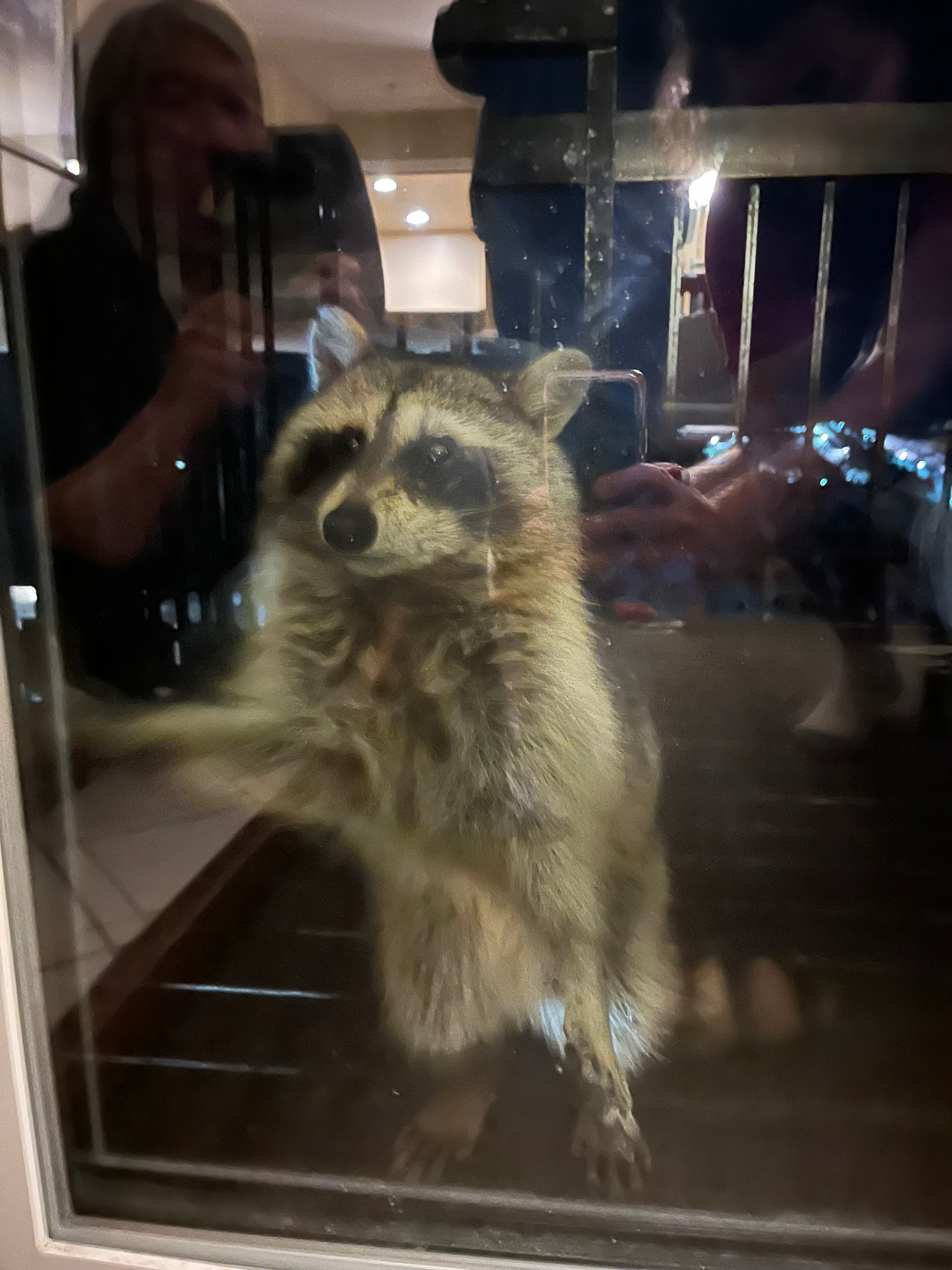 user avatar image for Ethan