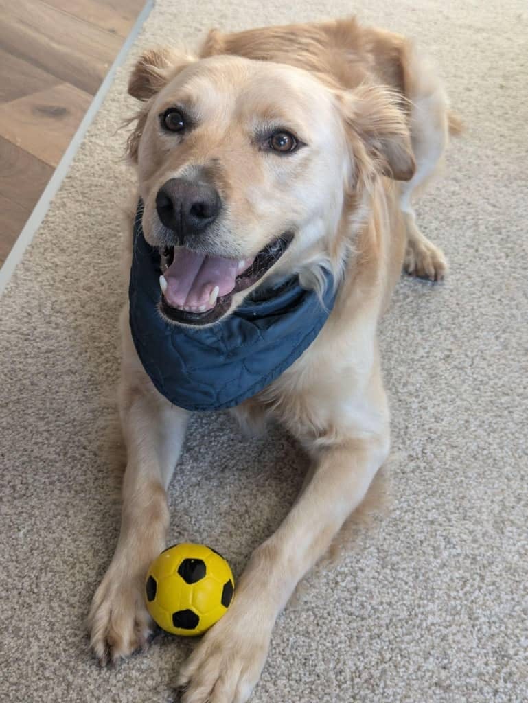 user avatar image for Jamie P