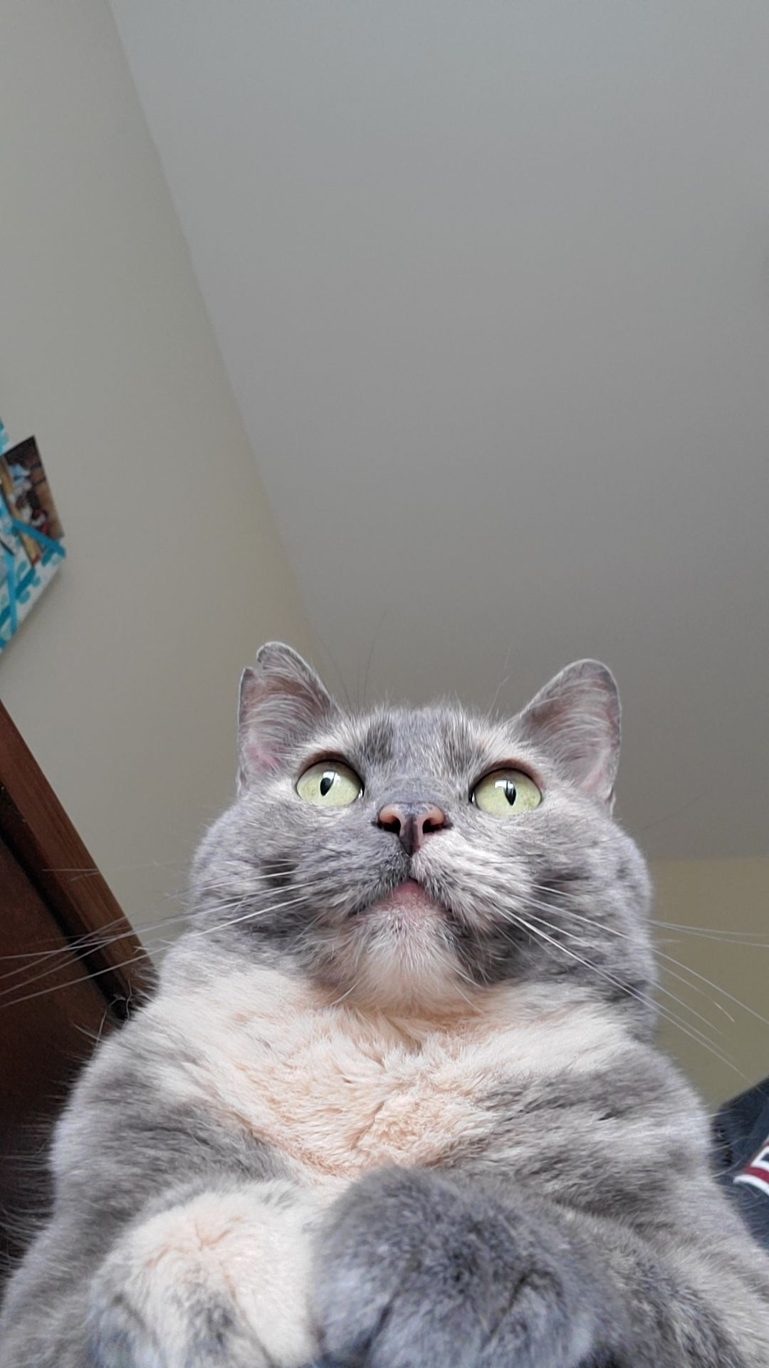user avatar image for Mariah