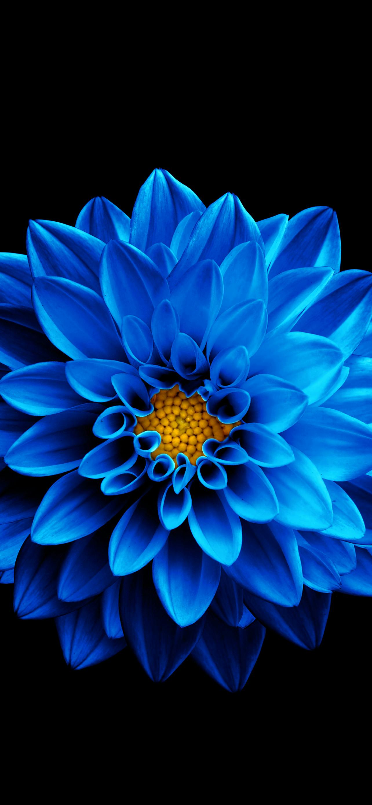 user avatar image for Emily