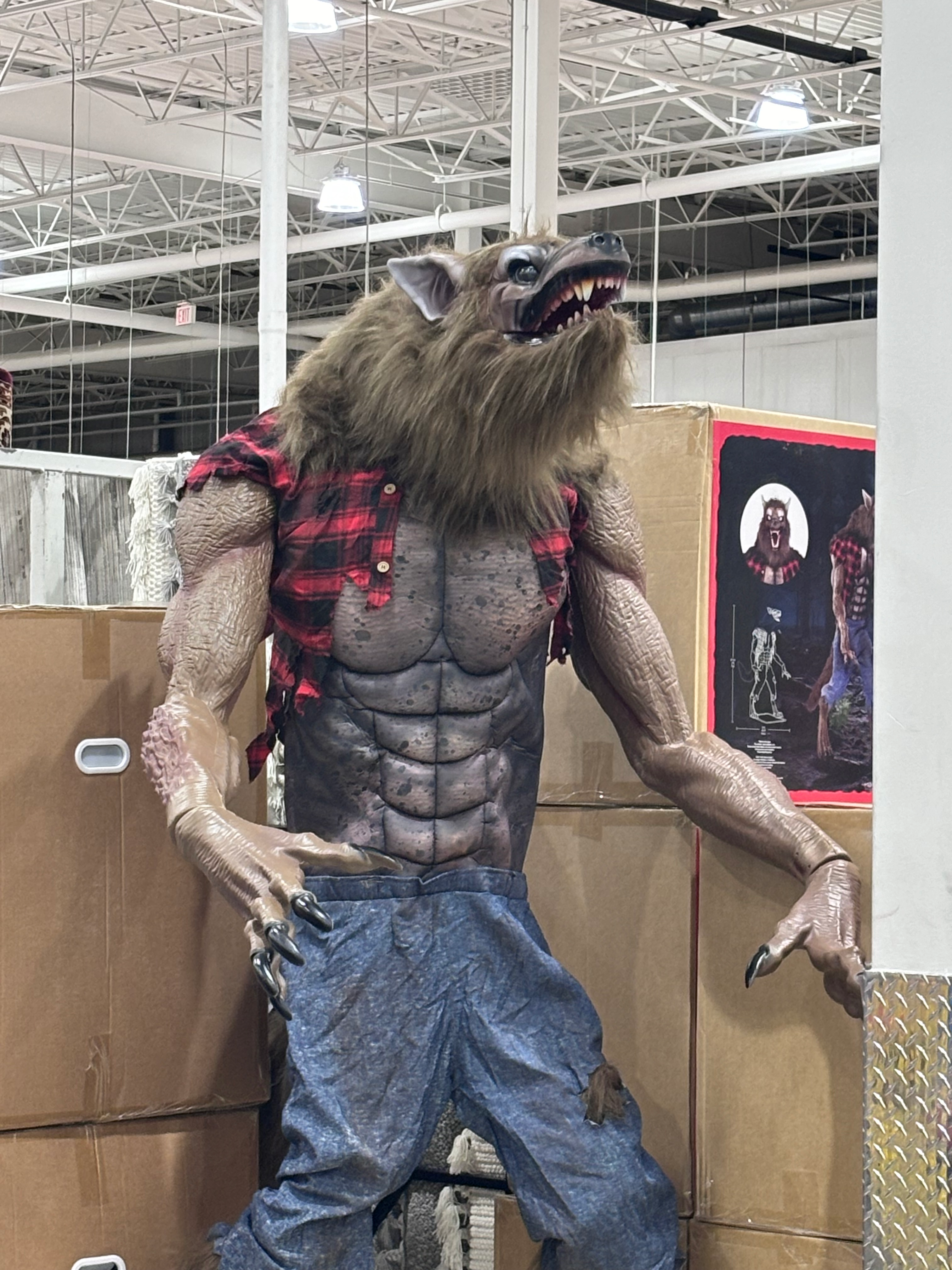 user avatar image for Celeste Seguin