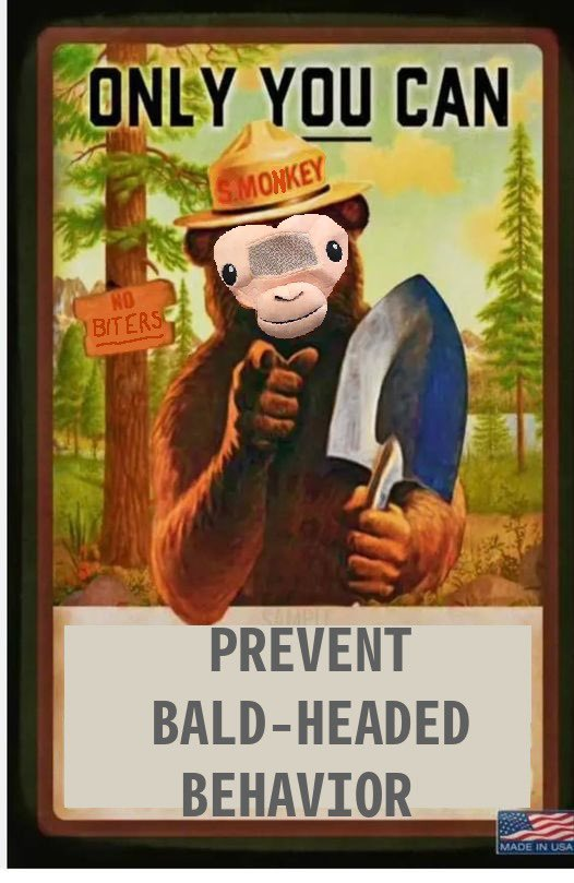 user avatar image for Patrick Mulvey