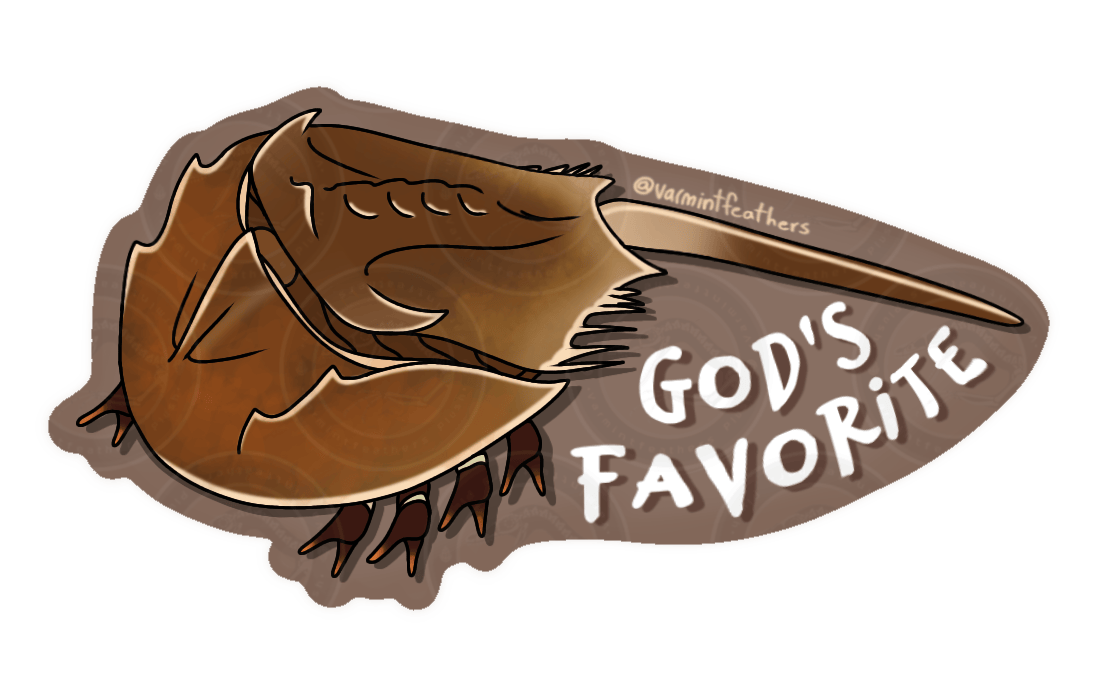 "God’s Favorite" Horseshoe Crab Sticker