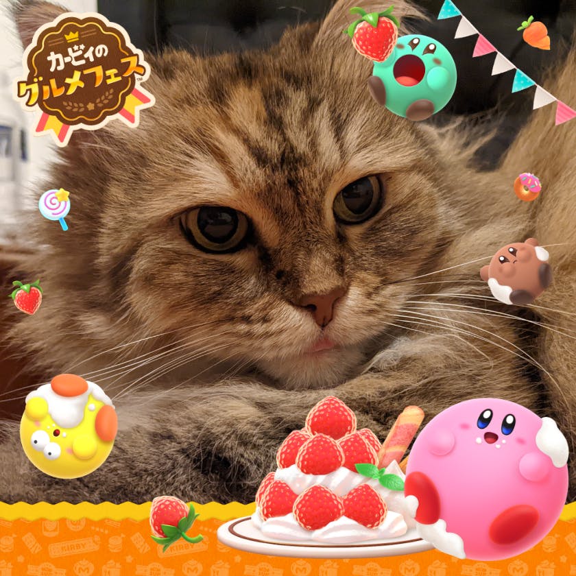 user avatar image for Rae