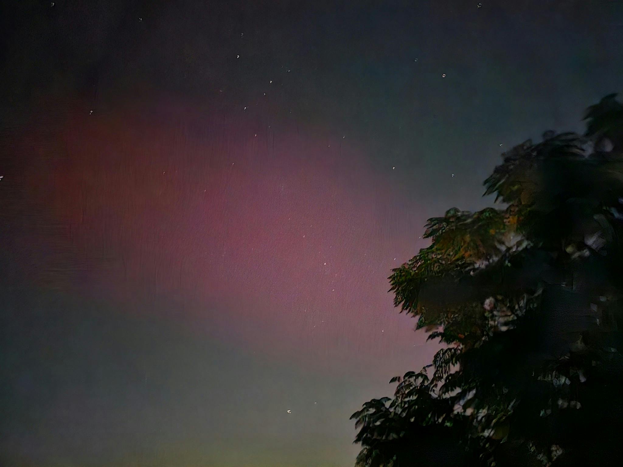 user avatar image for William Hall